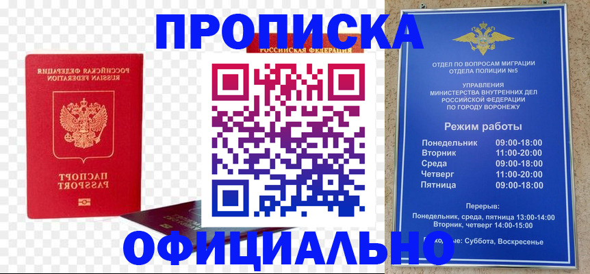 прописка иностранных граждан в России